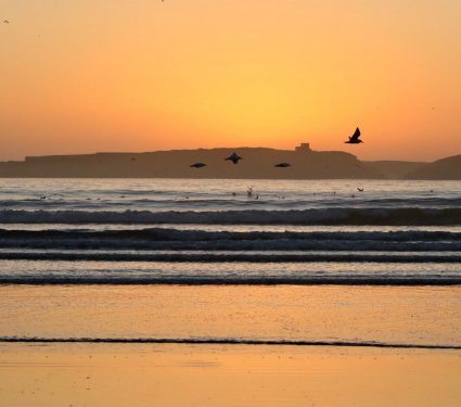 kitesurf worldwide essaouira kitesurf lessons for begginer intermediate at essaouira beach watersports 15 kitesurf worldwide essaouira kitesurf lessons for begginer intermediate at essaouira beach watersports 15